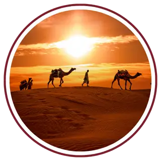 Sunset Camel Safari in Jaisalmer 9