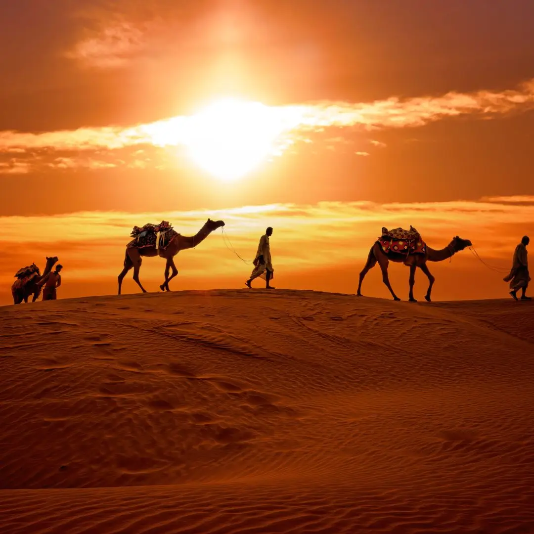 sunset image